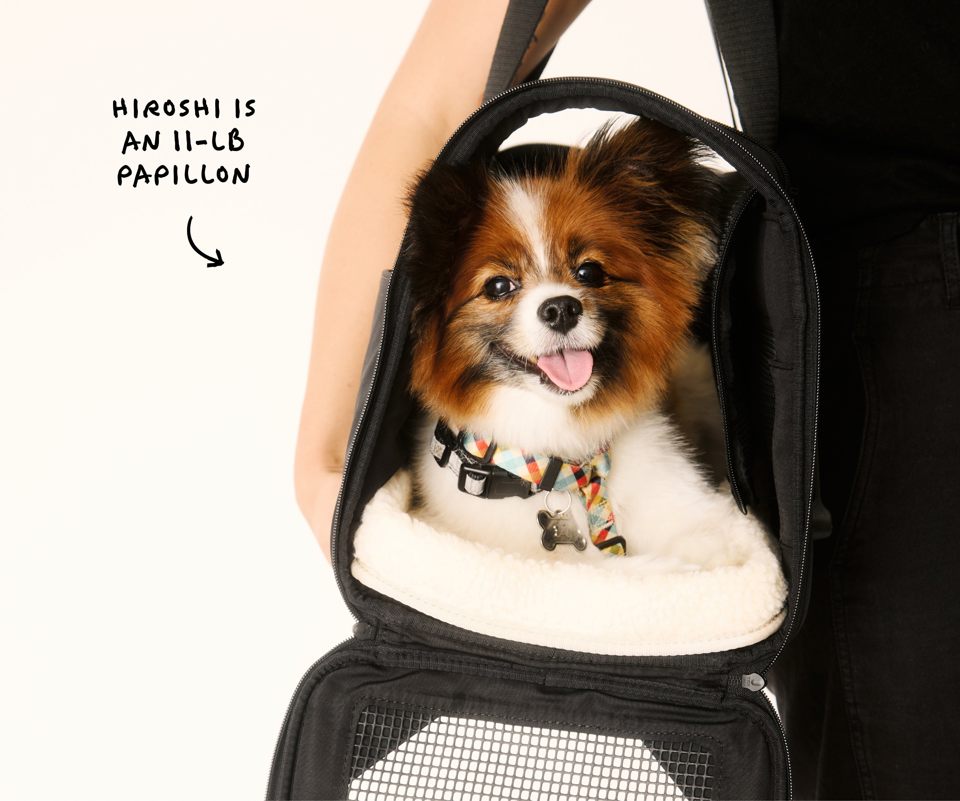 Away The Pet Carrier Travel Accessory - Coast Blue
