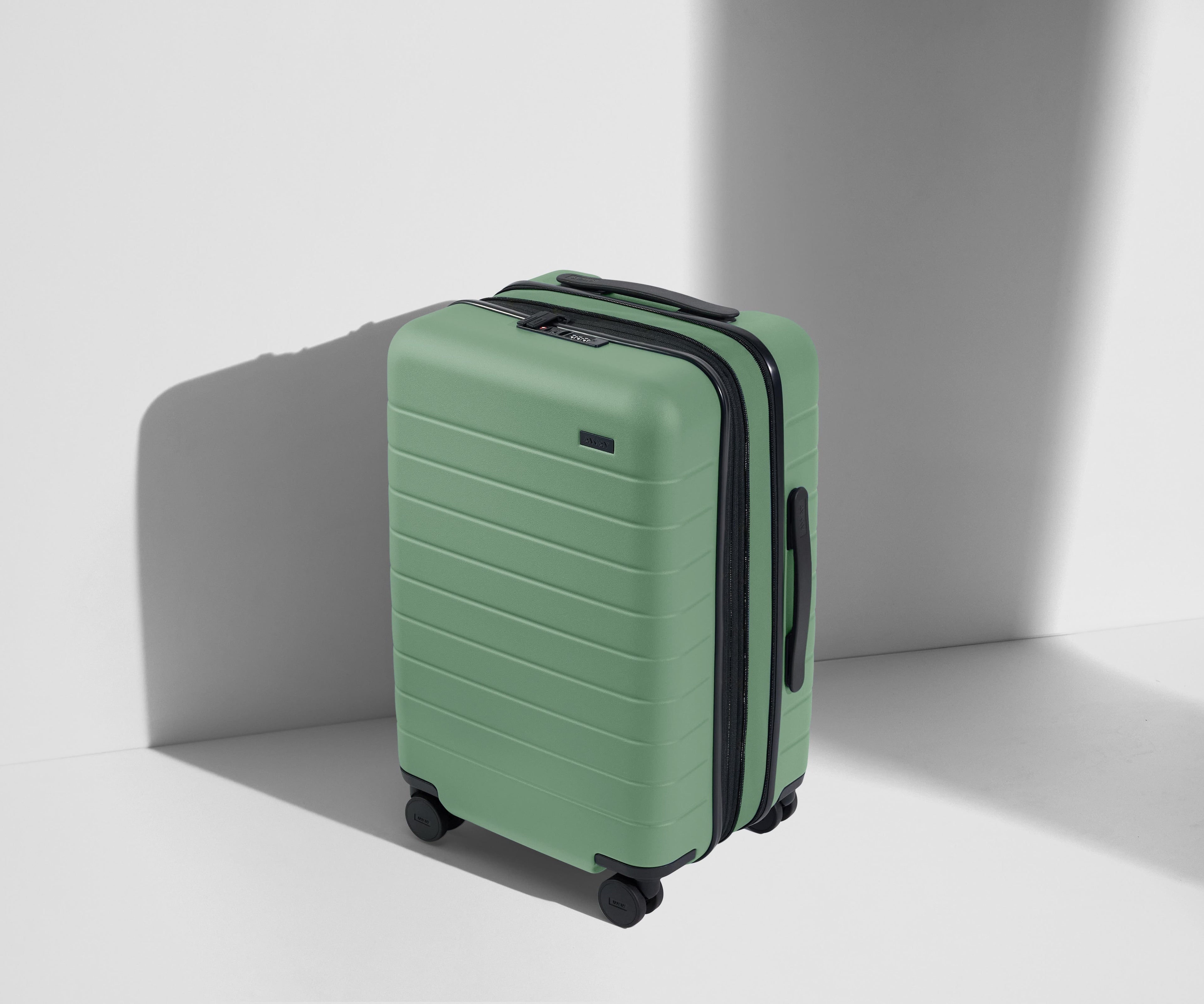 Away The Carry-On Flex Suitcase