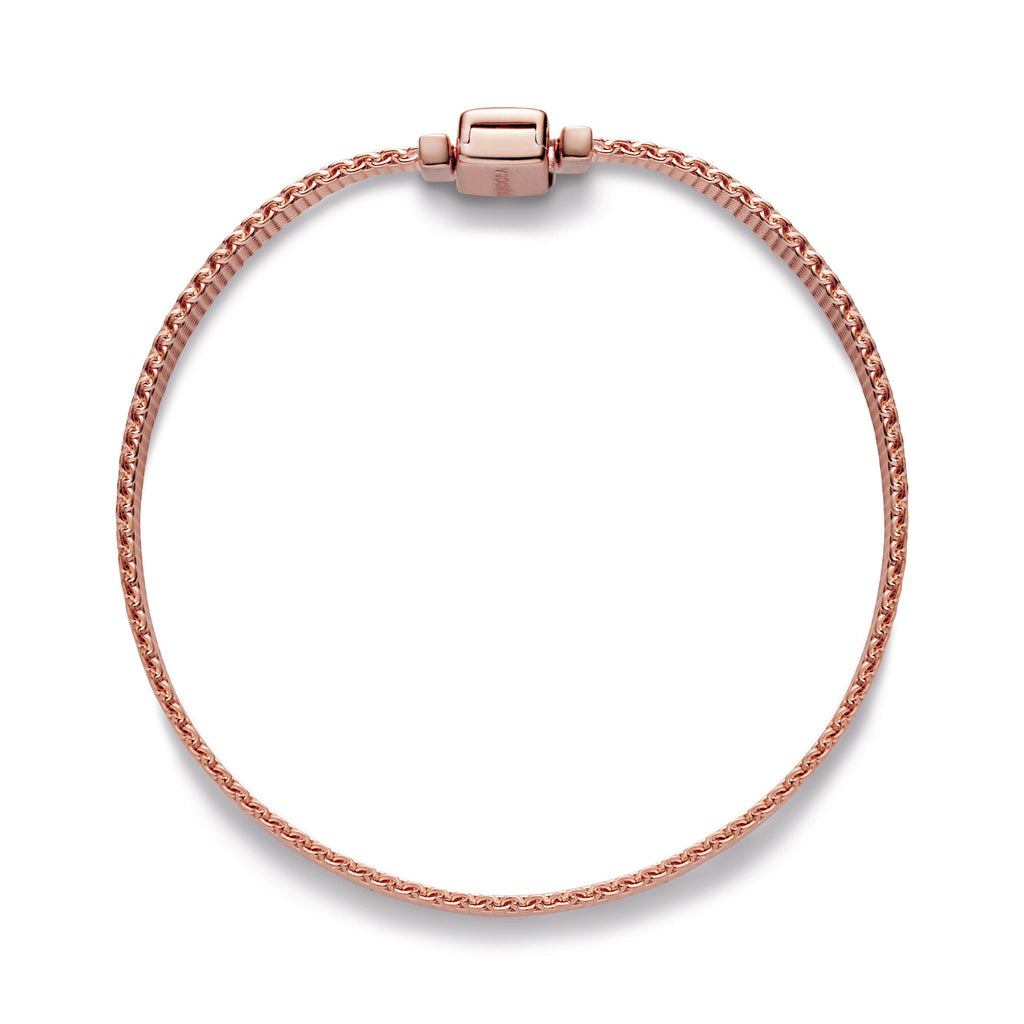 Pandora Reflexions Mesh Bracelet