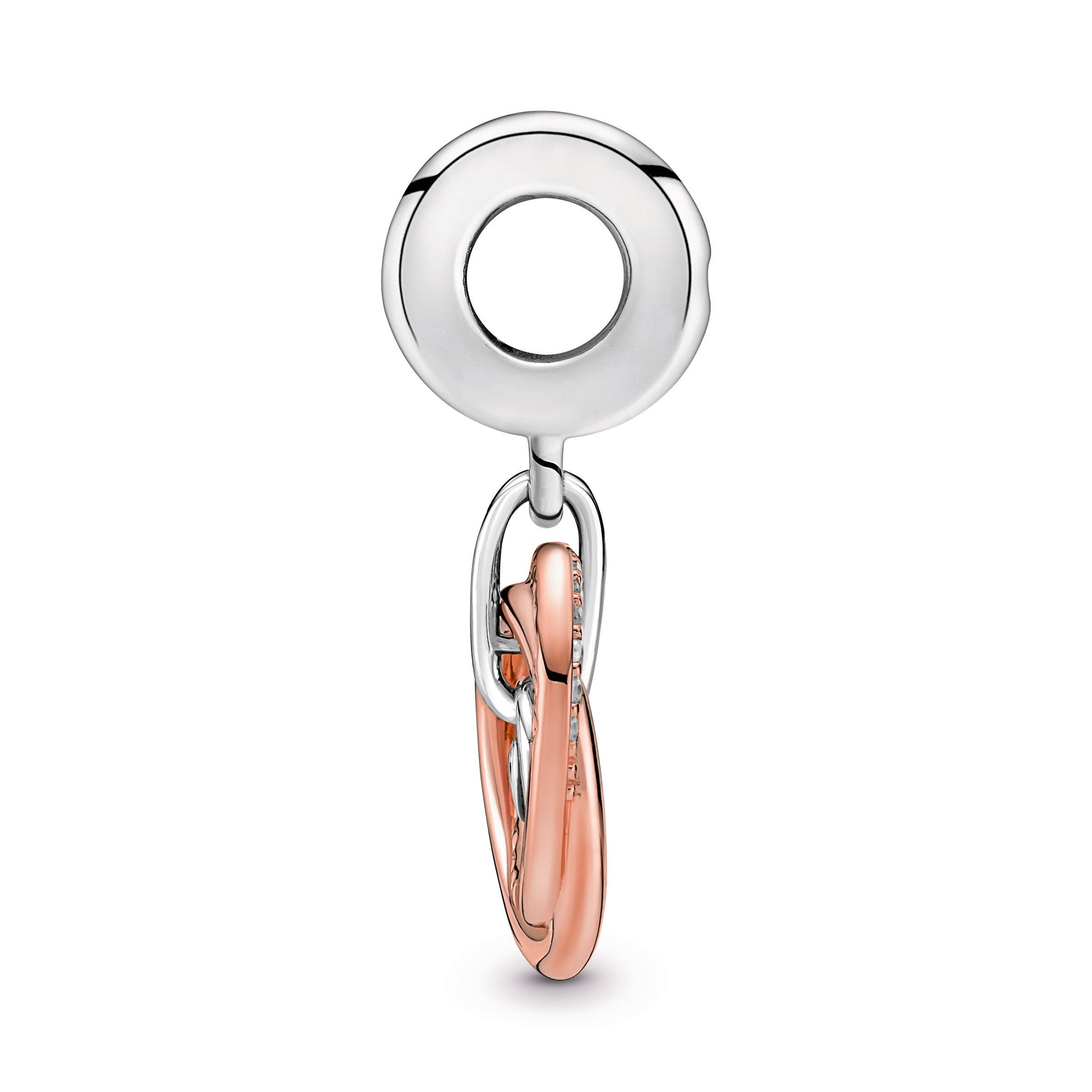 Family Always Encircled Dangle Charm