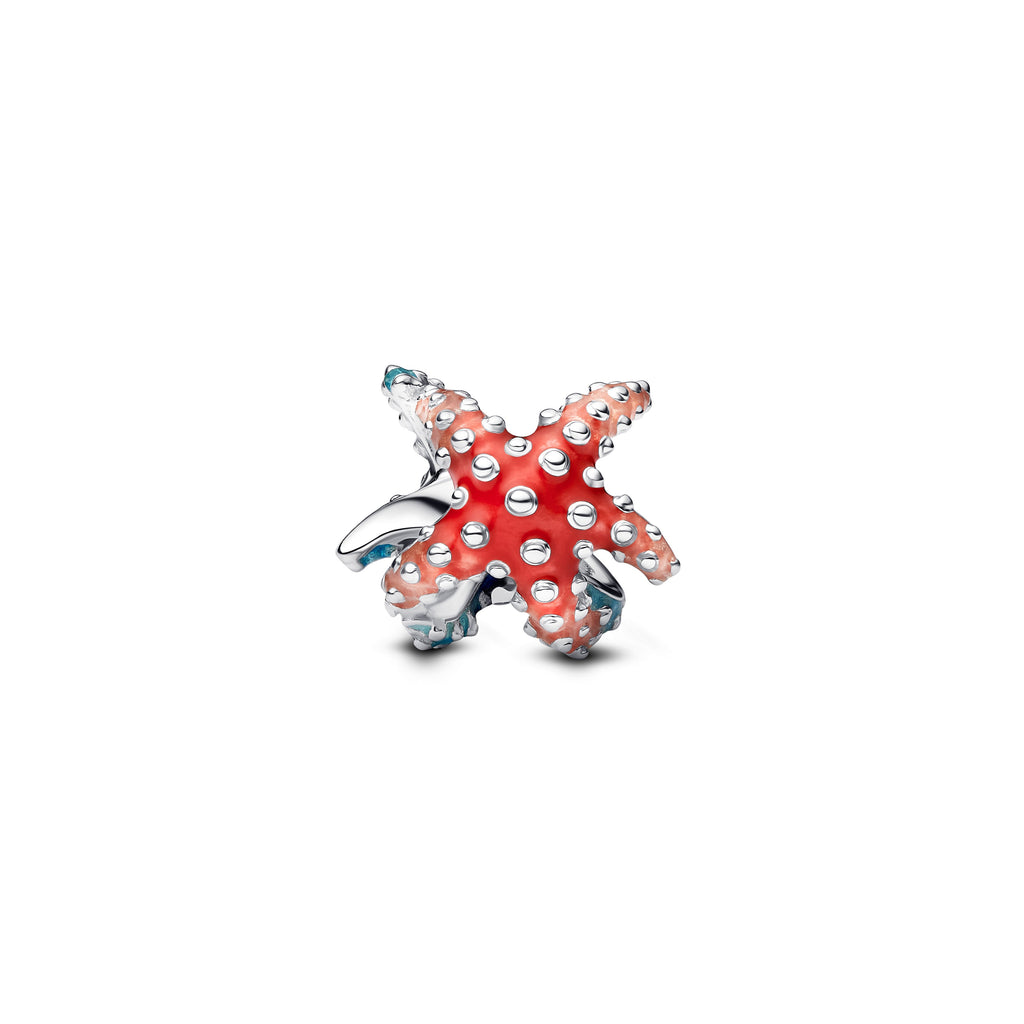 Colorful Starfish Mini Charm