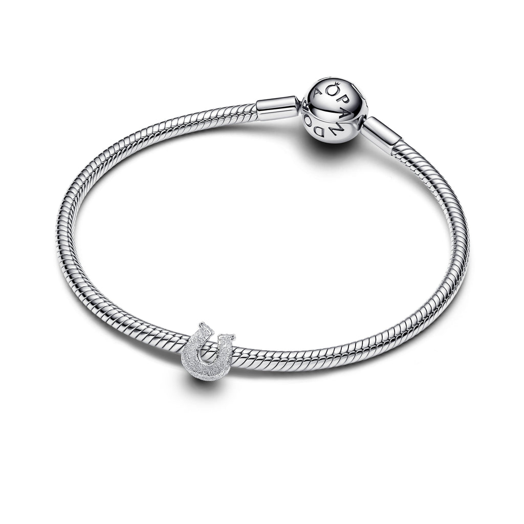 Textured Horseshoe Mini Charm