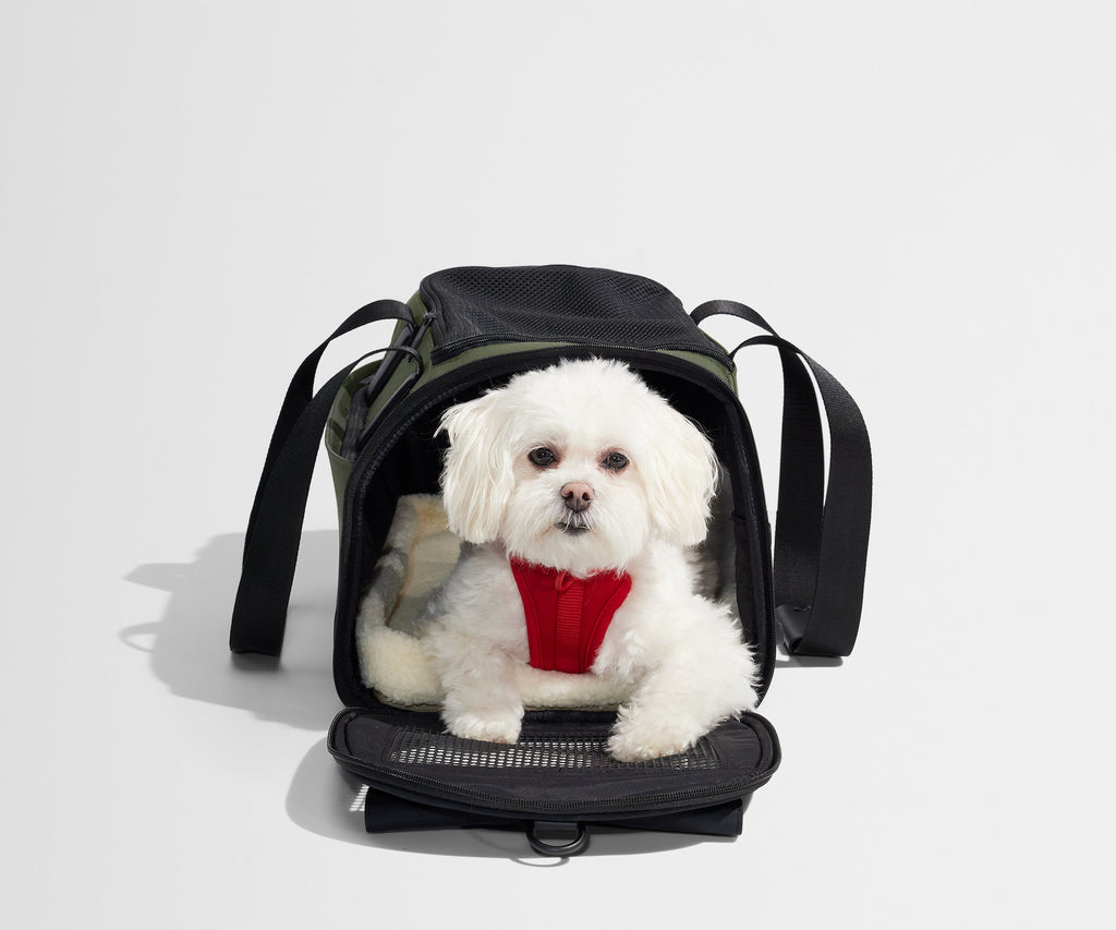Away The Pet Carrier Travel Accessory - Olive Green